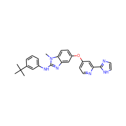 Cn1c(Nc2cccc(C(C)(C)C)c2)nc2cc(Oc3ccnc(-c4ncc[nH]4)c3)ccc21 ZINC000202509644