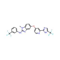 Cn1c(Nc2cccc(C(F)(F)F)c2)nc2cc(Oc3ccnc(-c4ncc(C(F)(F)F)[nH]4)c3)ccc21 ZINC000059767145