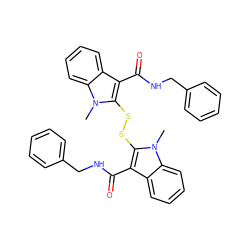 Cn1c(SSc2c(C(=O)NCc3ccccc3)c3ccccc3n2C)c(C(=O)NCc2ccccc2)c2ccccc21 ZINC000027726897