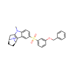 Cn1c2c(c3cc(S(=O)(=O)c4cccc(OCc5ccccc5)c4)ccc31)[C@H]1CC[C@@H](C2)N1 ZINC000096175267