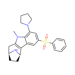 Cn1c2c(c3cc(S(=O)(=O)c4ccccc4)cc(N4CCCC4)c31)[C@H]1CC[C@@H](C2)N1 ZINC000096175335