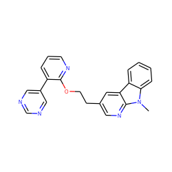 Cn1c2ccccc2c2cc(CCOc3ncccc3-c3cncnc3)cnc21 ZINC000169337413