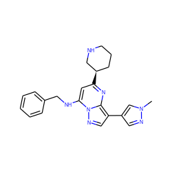 Cn1cc(-c2cnn3c(NCc4ccccc4)cc([C@@H]4CCCNC4)nc23)cn1 ZINC000066104475