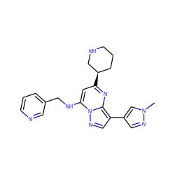 Cn1cc(-c2cnn3c(NCc4cccnc4)cc([C@@H]4CCCNC4)nc23)cn1 ZINC000066104483