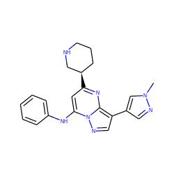 Cn1cc(-c2cnn3c(Nc4ccccc4)cc([C@@H]4CCCNC4)nc23)cn1 ZINC000066104488