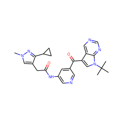 Cn1cc(CC(=O)Nc2cncc(C(=O)c3cn(C(C)(C)C)c4ncncc34)c2)c(C2CC2)n1 ZINC000169707758