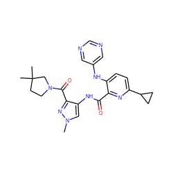 Cn1cc(NC(=O)c2nc(C3CC3)ccc2Nc2cncnc2)c(C(=O)N2CCC(C)(C)C2)n1 ZINC000148821929