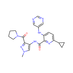 Cn1cc(NC(=O)c2nc(C3CC3)ccc2Nc2cncnc2)c(C(=O)N2CCCC2)n1 ZINC000169701672