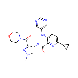 Cn1cc(NC(=O)c2nc(C3CC3)ccc2Nc2cncnc2)c(C(=O)N2CCOCC2)n1 ZINC000169701662