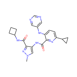 Cn1cc(NC(=O)c2nc(C3CC3)ccc2Nc2cncnc2)c(C(=O)NC2CCC2)n1 ZINC000149606840