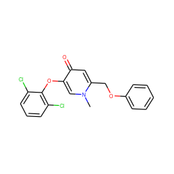 Cn1cc(Oc2c(Cl)cccc2Cl)c(=O)cc1COc1ccccc1 ZINC000473124187