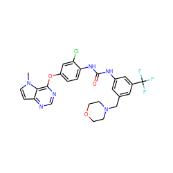 Cn1ccc2ncnc(Oc3ccc(NC(=O)Nc4cc(CN5CCOCC5)cc(C(F)(F)F)c4)c(Cl)c3)c21 ZINC000064448377