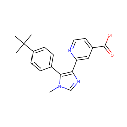 Cn1cnc(-c2cc(C(=O)O)ccn2)c1-c1ccc(C(C)(C)C)cc1 ZINC000225933105