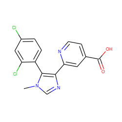 Cn1cnc(-c2cc(C(=O)O)ccn2)c1-c1ccc(Cl)cc1Cl ZINC000225952284