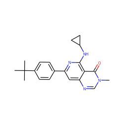 Cn1cnc2cc(-c3ccc(C(C)(C)C)cc3)nc(NC3CC3)c2c1=O ZINC000115624227