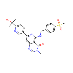 Cn1cnc2cc(-c3ccc(C(C)(C)O)nc3)nc(NCc3ccc(S(C)(=O)=O)cc3)c2c1=O ZINC000115625634