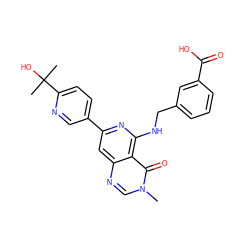 Cn1cnc2cc(-c3ccc(C(C)(C)O)nc3)nc(NCc3cccc(C(=O)O)c3)c2c1=O ZINC000115622323