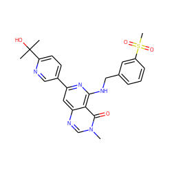 Cn1cnc2cc(-c3ccc(C(C)(C)O)nc3)nc(NCc3cccc(S(C)(=O)=O)c3)c2c1=O ZINC000115624665