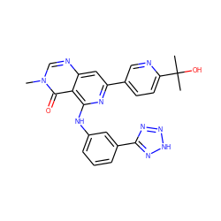 Cn1cnc2cc(-c3ccc(C(C)(C)O)nc3)nc(Nc3cccc(-c4nn[nH]n4)c3)c2c1=O ZINC000115626333