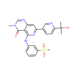 Cn1cnc2cc(-c3ccc(C(C)(C)O)nc3)nc(Nc3cccc(S(C)(=O)=O)c3)c2c1=O ZINC000115625775