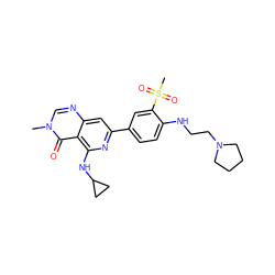 Cn1cnc2cc(-c3ccc(NCCN4CCCC4)c(S(C)(=O)=O)c3)nc(NC3CC3)c2c1=O ZINC000115625017