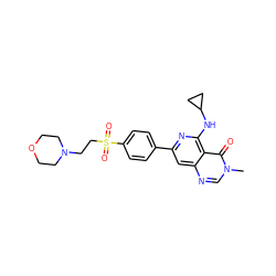 Cn1cnc2cc(-c3ccc(S(=O)(=O)CCN4CCOCC4)cc3)nc(NC3CC3)c2c1=O ZINC000115624360