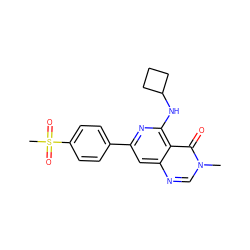 Cn1cnc2cc(-c3ccc(S(C)(=O)=O)cc3)nc(NC3CCC3)c2c1=O ZINC000115623997