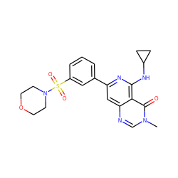 Cn1cnc2cc(-c3cccc(S(=O)(=O)N4CCOCC4)c3)nc(NC3CC3)c2c1=O ZINC000115626486