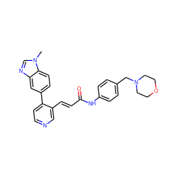 Cn1cnc2cc(-c3ccncc3/C=C/C(=O)Nc3ccc(CN4CCOCC4)cc3)ccc21 ZINC001772620229