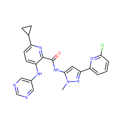 Cn1nc(-c2cccc(Cl)n2)cc1NC(=O)c1nc(C2CC2)ccc1Nc1cncnc1 ZINC000096167410