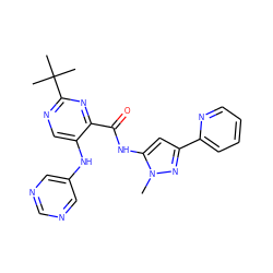 Cn1nc(-c2ccccn2)cc1NC(=O)c1nc(C(C)(C)C)ncc1Nc1cncnc1 ZINC000096167424