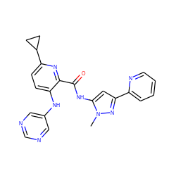 Cn1nc(-c2ccccn2)cc1NC(=O)c1nc(C2CC2)ccc1Nc1cncnc1 ZINC000096167381