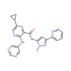 Cn1nc(-c2ccccn2)cc1NC(=O)c1nc(C2CC2)cnc1Nc1cncnc1 ZINC000096167393