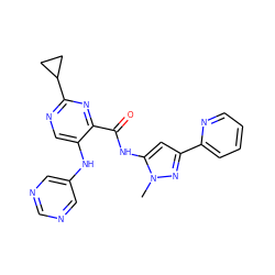 Cn1nc(-c2ccccn2)cc1NC(=O)c1nc(C2CC2)ncc1Nc1cncnc1 ZINC000096167423