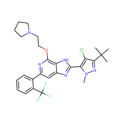 Cn1nc(C(C)(C)C)c(Cl)c1-c1nc2cc(-c3ccccc3C(F)(F)F)nc(OCCN3CCCC3)c2[nH]1 ZINC001772624769