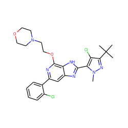 Cn1nc(C(C)(C)C)c(Cl)c1-c1nc2cc(-c3ccccc3Cl)nc(OCCN3CCOCC3)c2[nH]1 ZINC001772621719