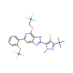 Cn1nc(C(C)(C)C)c(Cl)c1-c1nc2cc(-c3ccccc3OC(F)(F)F)nc(OCC(F)(F)F)c2[nH]1 ZINC000141307300