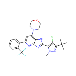 Cn1nc(C(C)(C)C)c(Cl)c1-c1nc2nc(-c3ccccc3C(F)(F)F)cc(N3CCOCC3)c2[nH]1 ZINC000141208722