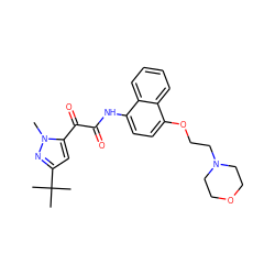 Cn1nc(C(C)(C)C)cc1C(=O)C(=O)Nc1ccc(OCCN2CCOCC2)c2ccccc12 ZINC000040413062