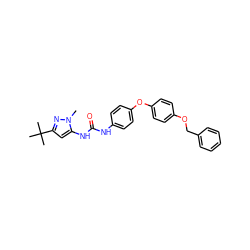 Cn1nc(C(C)(C)C)cc1NC(=O)Nc1ccc(Oc2ccc(OCc3ccccc3)cc2)cc1 ZINC000013442513