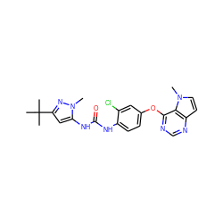 Cn1nc(C(C)(C)C)cc1NC(=O)Nc1ccc(Oc2ncnc3ccn(C)c23)cc1Cl ZINC000064499039