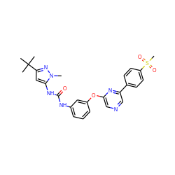 Cn1nc(C(C)(C)C)cc1NC(=O)Nc1cccc(Oc2cncc(-c3ccc(S(C)(=O)=O)cc3)n2)c1 ZINC000473082839