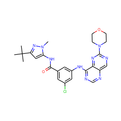 Cn1nc(C(C)(C)C)cc1NC(=O)c1cc(Cl)cc(Nc2ncnc3cnc(N4CCOCC4)nc23)c1 ZINC000148267561
