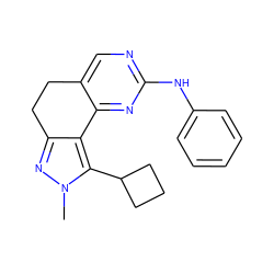 Cn1nc2c(c1C1CCC1)-c1nc(Nc3ccccc3)ncc1CC2 ZINC000143044862