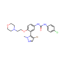 Cn1ncc(Br)c1-c1cc(NC(=O)Nc2ccc(Cl)cc2)ccc1OCCN1CCOCC1 ZINC000049694913