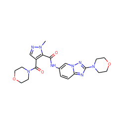 Cn1ncc(C(=O)N2CCOCC2)c1C(=O)Nc1ccc2nc(N3CCOCC3)nn2c1 ZINC000205048490