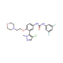 Cn1ncc(Cl)c1-c1cc(NC(=O)Nc2cc(F)cc(F)c2)ccc1OCCN1CCOCC1 ZINC000045298884