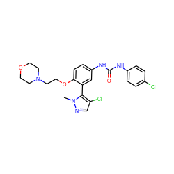 Cn1ncc(Cl)c1-c1cc(NC(=O)Nc2ccc(Cl)cc2)ccc1OCCN1CCOCC1 ZINC000045261211