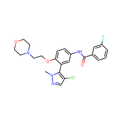 Cn1ncc(Cl)c1-c1cc(NC(=O)c2cccc(F)c2)ccc1OCCN1CCOCC1 ZINC000049053201