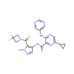 Cn1ncc(NC(=O)c2nc(C3CC3)cnc2Nc2cncnc2)c1C(=O)N1CC(F)(F)C1 ZINC000169701766